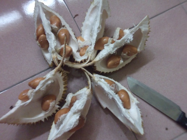 19 ulas dalam sebiji durian. baham sorang2. mmg best!!